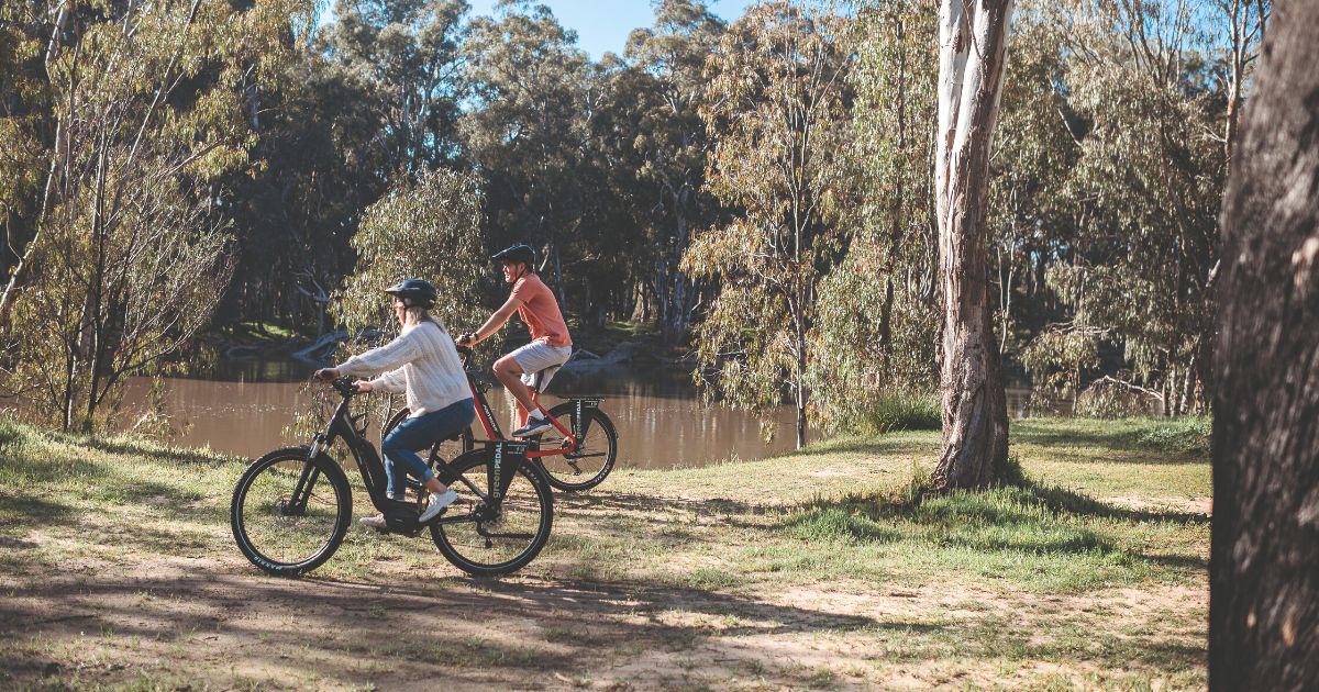 Banyule State Forest
