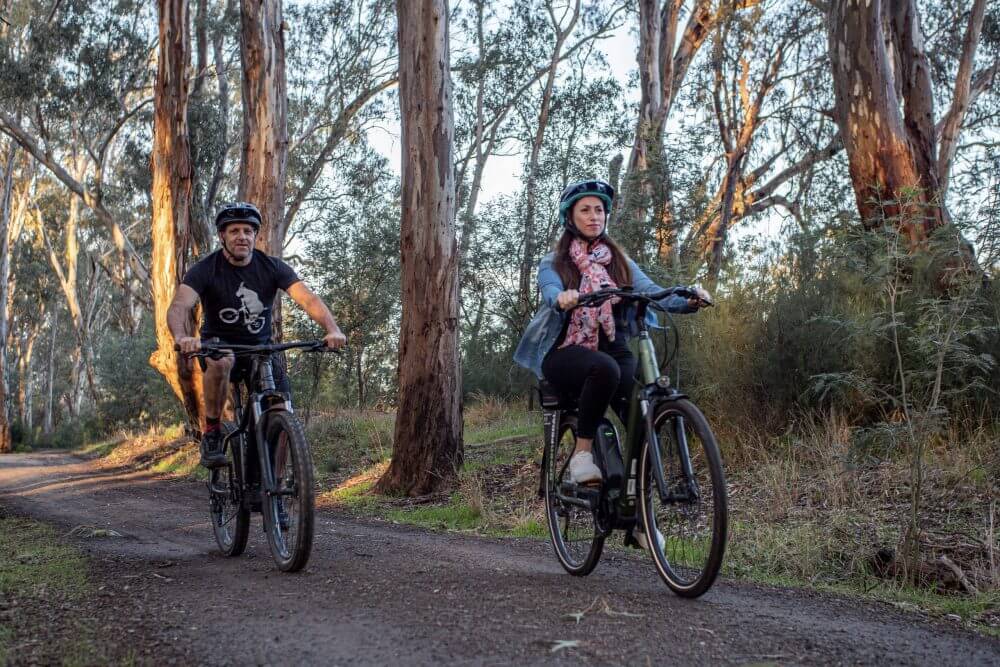 E-Mountain Bike