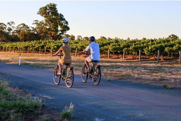 Bike to Winery Tour